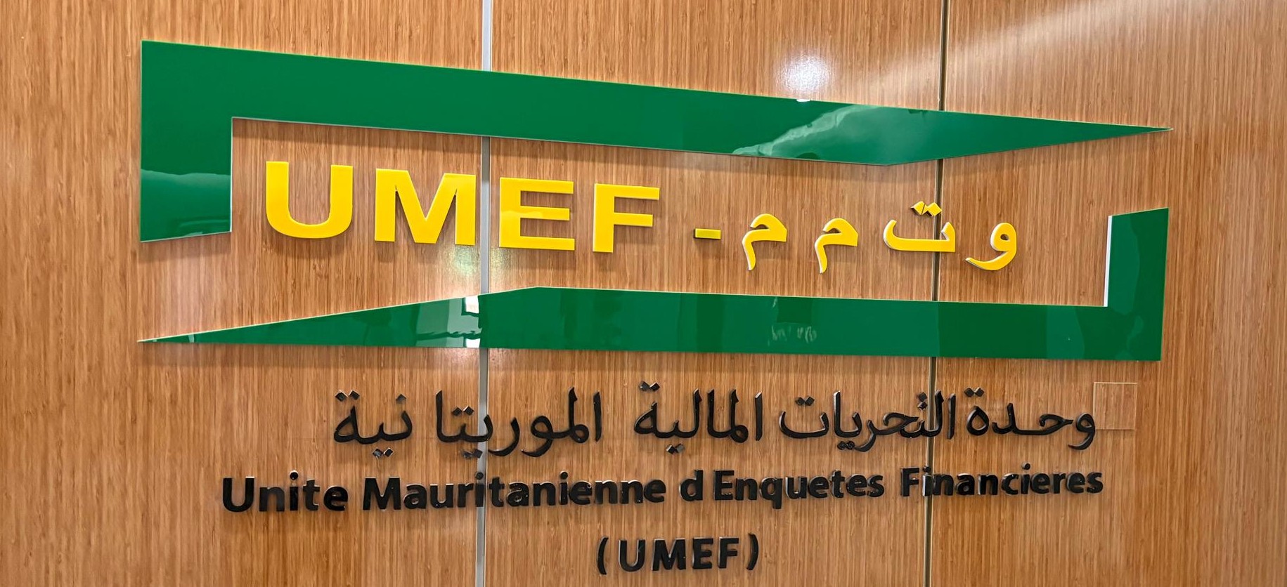 UMEF_logo